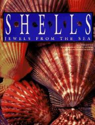 Shells : Jewels from the Sea