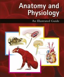 Anatomy and Physiology: an Illustrated Guide