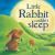 Little Rabbit Couldn't Sleep