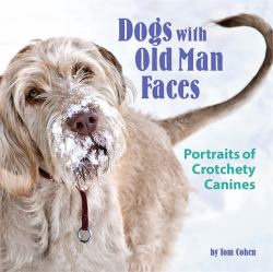 Dogs with Old Man Faces : Portraits of Crotchety Canines