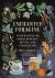 Enchanted Foraging : Wildcrafting for Herbal Remedies, Rituals, and a Magical Life