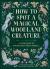 How to Spot a Magical Woodland Creature : A Field Guide to Enchanted Forest Animals