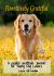 Pawsitively Grateful : A Guided Gratitude Journal for Young Dog Lovers