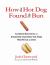 How the Hot Dog Found Its Bun