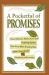 Pocketful of Promises - Original