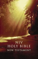 NIV Outreach New Testament