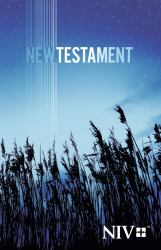 NIV Outreach New Testament