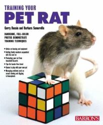 Training Your Pet Rat