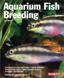 Aquarium Fish Breeding