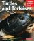 Turtles and Tortoises