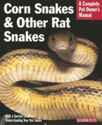 Corn Snakes and Other Rat Snakes