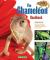 Chameleon Handbook : Acquiring, Housing, Anatomy, Life Cycle, Health Care, Behavior, and Activities