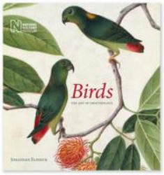 Birds : The Art of Ornithology