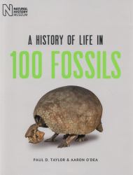 A History of Life in 100 Fossils