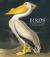 Birds : The Art of Ornithology