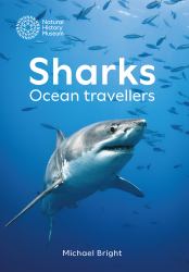 Sharks : Ocean Travellers