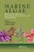 Marine Algae : Biodiversity, Taxonomy, Environmental Assessment, and Biotechnology