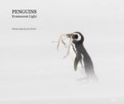 PENGUINS: Evanescent Light