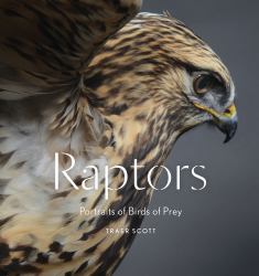 Raptors: Birds of Prey : Portraits of Birds of Prey