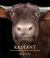 Radiant : Farm Animals up Close and Personal