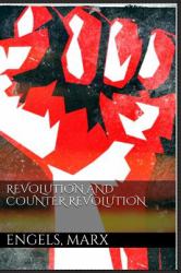 Revolution and Counter -Revolution