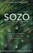 Sozo Saved Healed Delivered : A Journey into Freedom with the Father, Son, and Holy Spirit