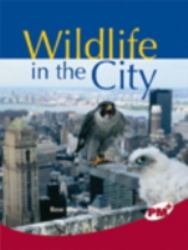 Wildlife in the City