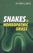 Snakes in Homoeopathy Grass