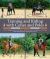 Training and Riding with Cones and Poles : Over 35 Engaging Exercises to Improve Your Horse's Focus and Response to the Aids, While Sharpening Your Timing and Accuracy