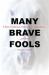 Many Brave Fools : A Story of Addiction, Dysfunction, Codependency... and Horses