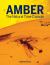 Amber : The Natural Time Capsule