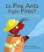 Do Fire Ants Fight Fires? : How Animals Work in the Wild