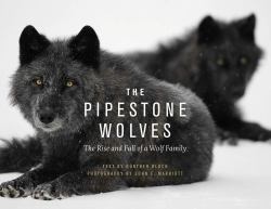 The Pipestone Wolves : The Rise and Fall of a Wolf Family