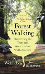 Forest Walking : Discovering the Trees and Woodlands of North America