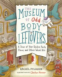 The Museum of Odd Body Leftovers : A Tour of Your Useless Parts, Flaws, and Other Weird Bits