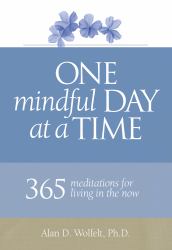 One Mindful Day at a Time : 365 Meditations on Living in the Now