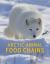 Arctic Animal Food Chains : English Edition