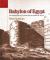 Babylon of Egypt : The Archaeology of Old Cairo and the Origins of the City (Revised Edition)