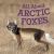 All about Arctic Foxes : English Edition