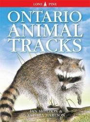 Ontario Animal Tracks