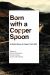 Born with a Copper Spoon : A Global History of Copper, 1830-1980