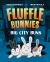 Big City Buns (Fluffle Bunnies, Book #2)