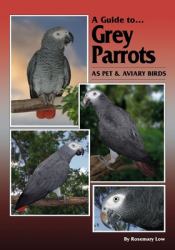 Guide to Grey Parrots As Pets and Aviary Birds