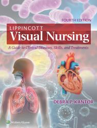 Lippincott Visual Nursing : A Guide to Clinical Diseases, Skills, and Treatments