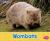 Wombats : A 4D Book