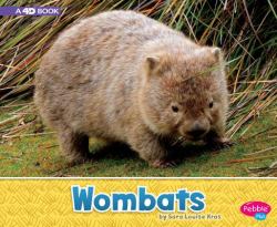 Wombats : A 4D Book