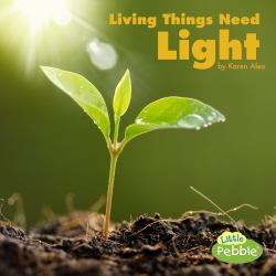 Living Things Need Light