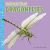 Fast Facts about Dragonflies