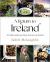 A Return to Ireland : A Culinary Journey from America to Ireland, Includes over 100 Recipes