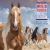 Wild Horse Freedom Federation 2020 Calendar